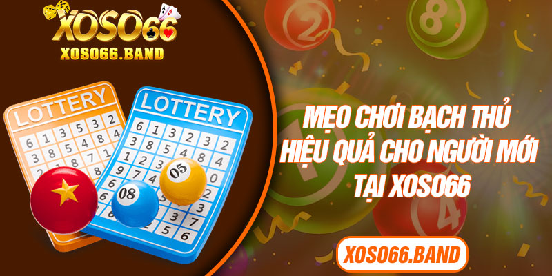 Mẹo chơi bạch thủ hiệu quả cho người mới tại Xoso66