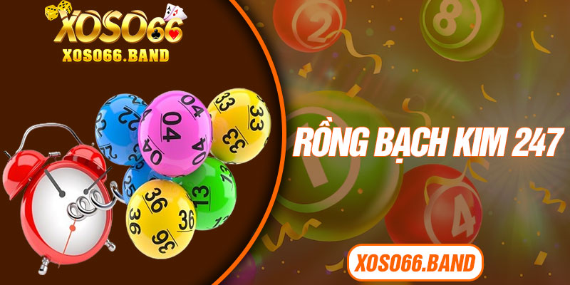 Rồng Bạch Kim 247
