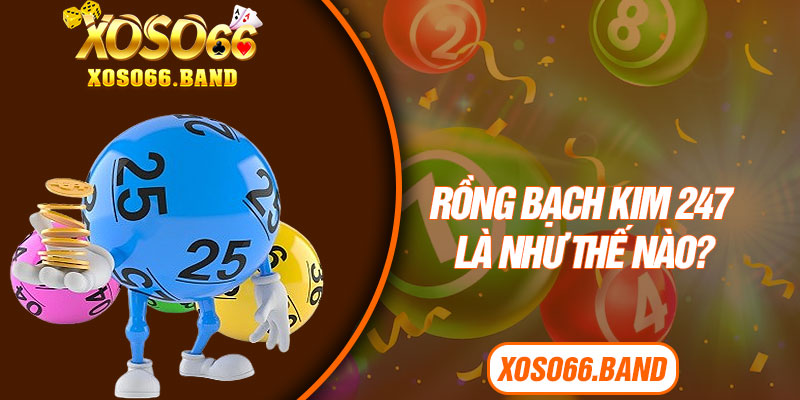 Rồng bạch kim 247 là như thế nào?