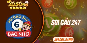 Soi Cầu 247