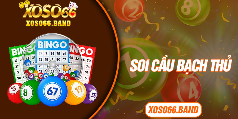 Soi Cầu Bạch Thủ