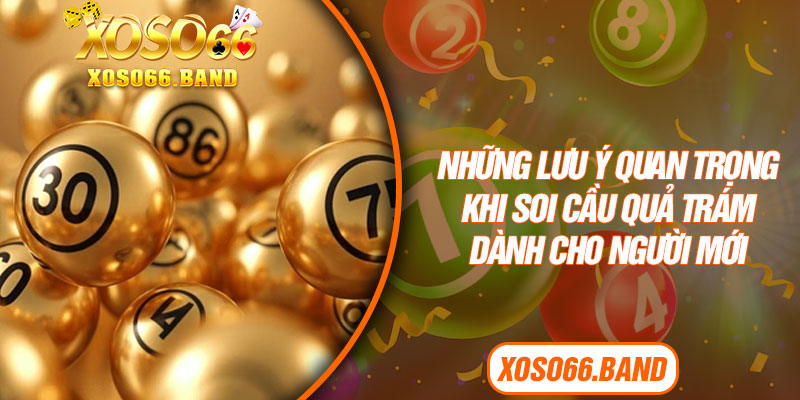 Những lưu ý quan trọng khi soi cầu quả trám dành cho người mới