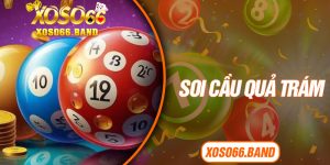 Soi Cầu Quả Trám