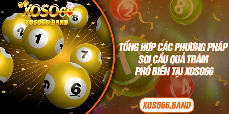 Tổng hợp các phương pháp soi cầu quả trám phổ biến tại Xoso66