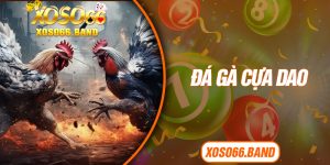 Đá Gà Cựa Dao
