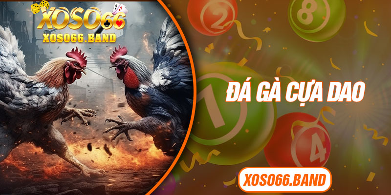 Đá Gà Cựa Dao