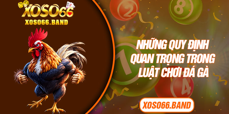 Những quy định quan trọng trong luật chơi đá gà 