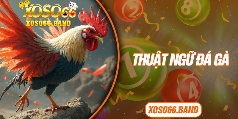 Thuật Ngữ Đá Gà