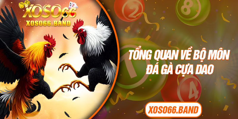 Tổng quan về bộ môn đá gà cựa dao 